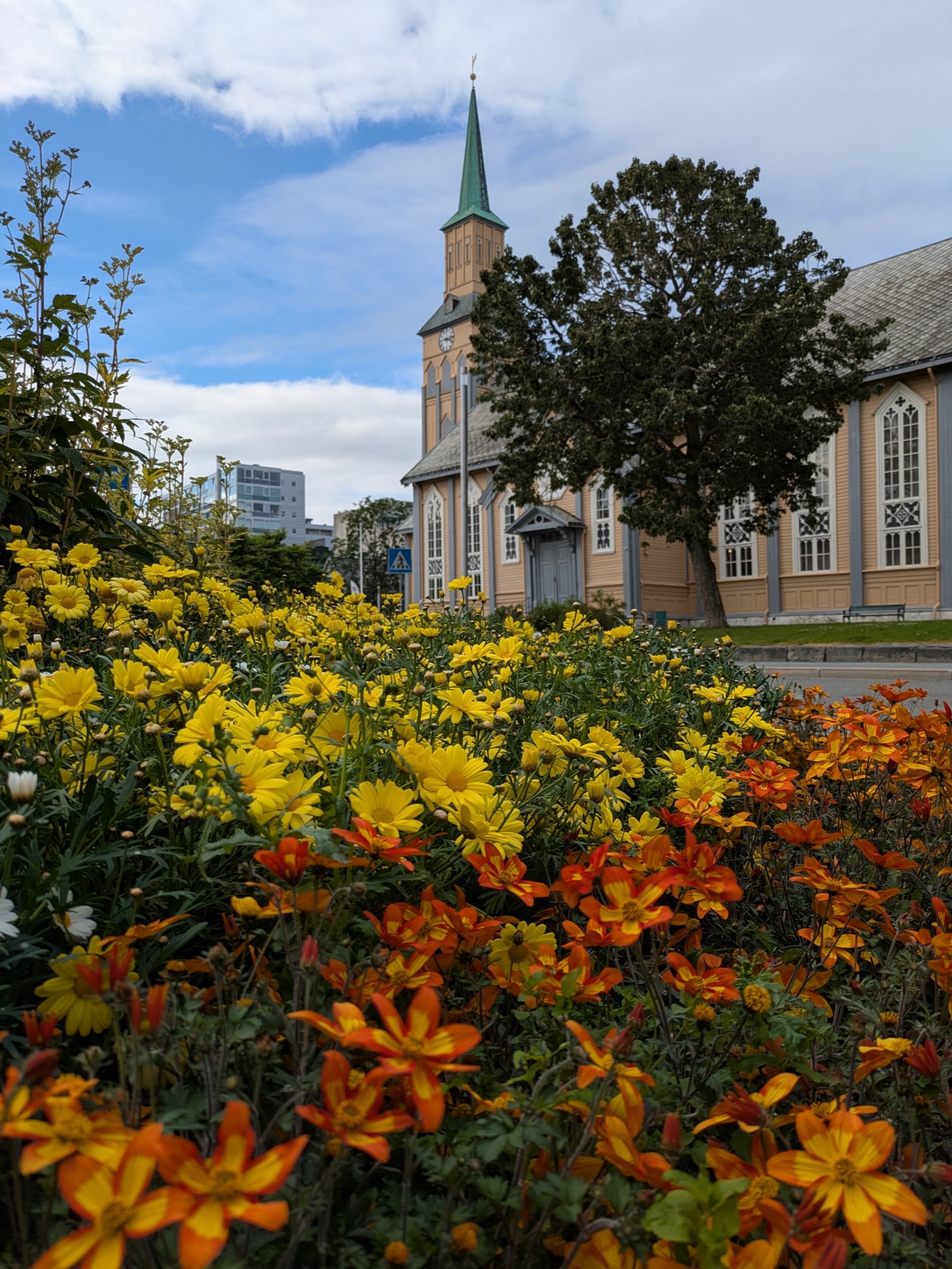 Tromsø Cathedral behind a summer flower bed along the city walk route